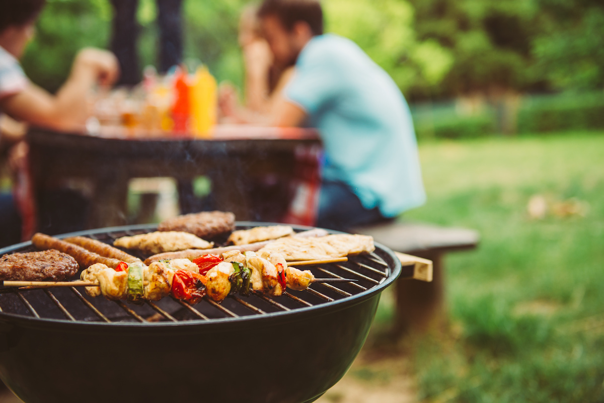 Have A Pest Free Summer Backyard Barbecue Drive Bye Pest Exterminators
