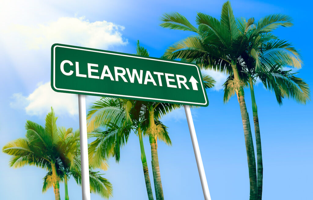 Clearwater, Florida termite swarm seasons