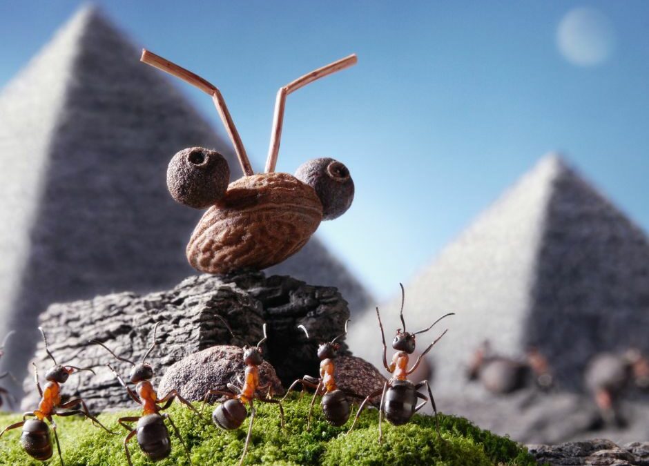 Pyramid Ants- Funny image of ants at an ant sphinx with pyramids in the background