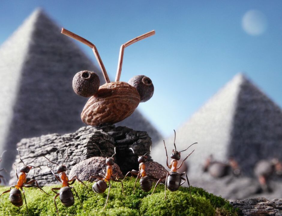 Pyramid Ants- Funny image of ants at an ant sphinx with pyramids in the background