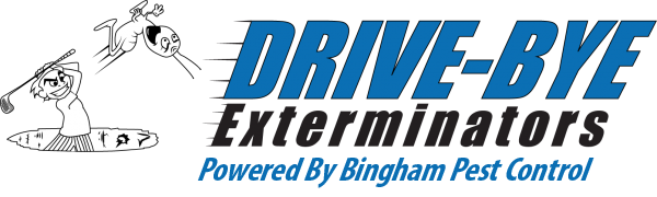 Drive-Bye Pest Exterminators: 